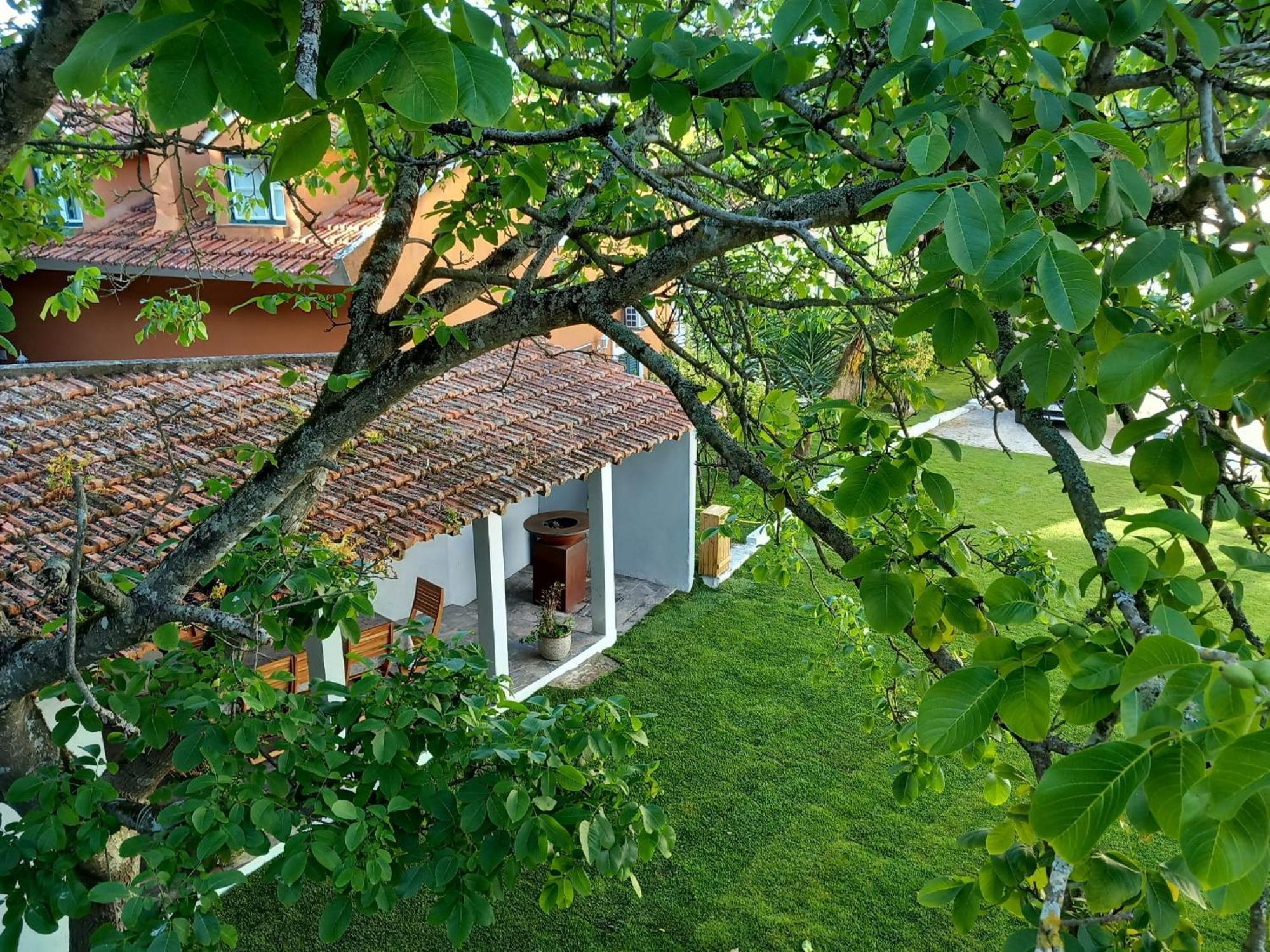 Villa In Sintra - Casa Da Penha Ferrim Exteriér fotografie