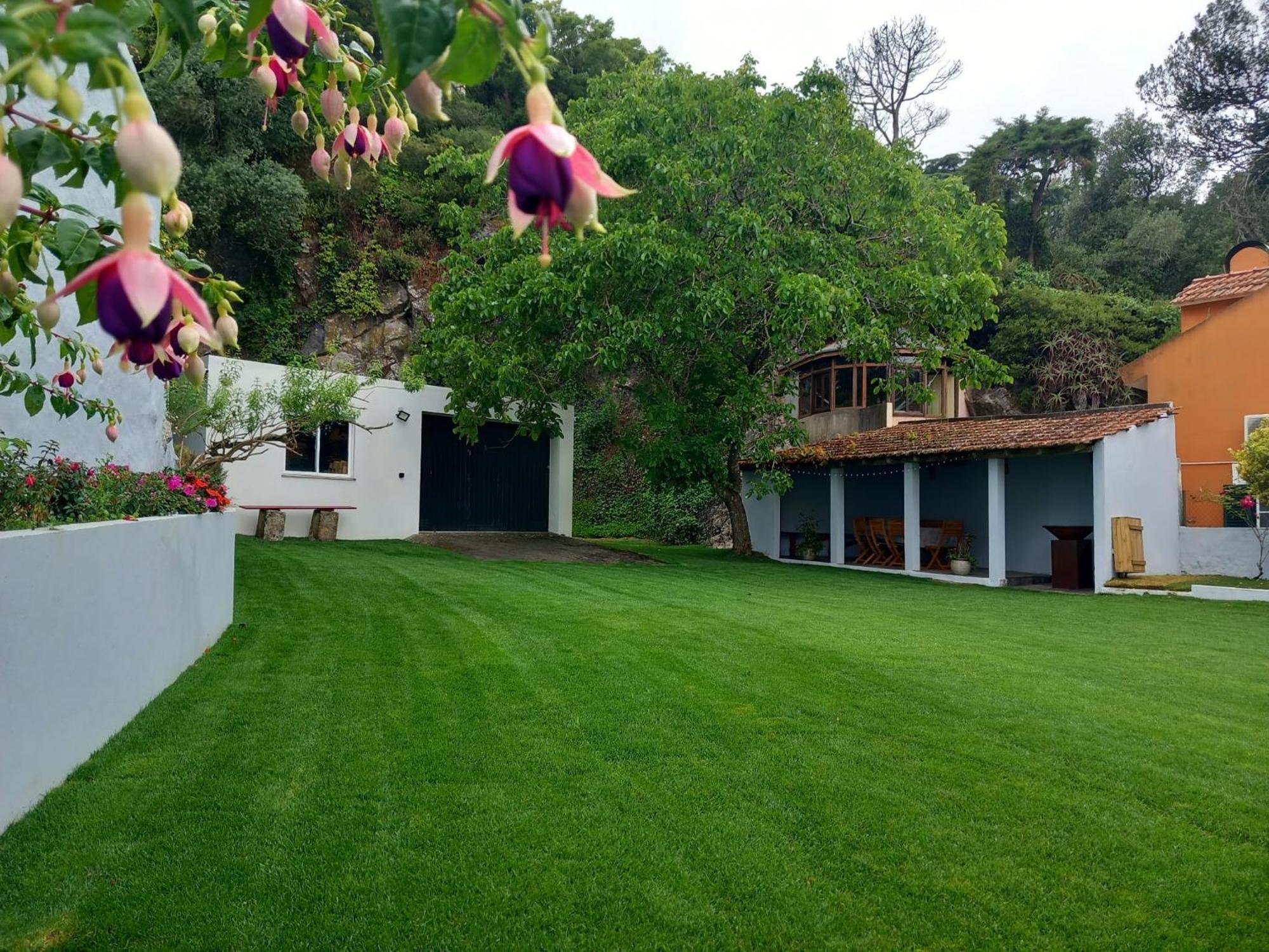 Villa In Sintra - Casa Da Penha Ferrim Exteriér fotografie